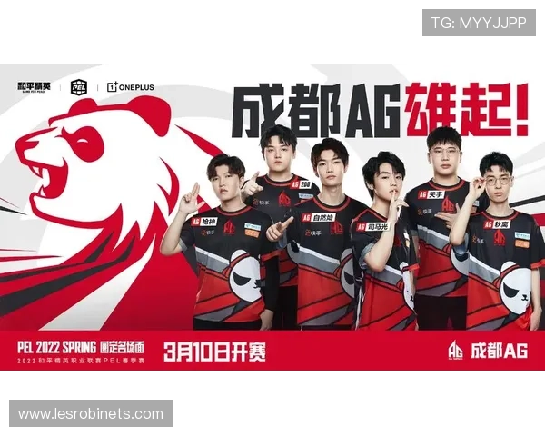 深入了解电子游艺AG,揭秘背后的技术与运营模式